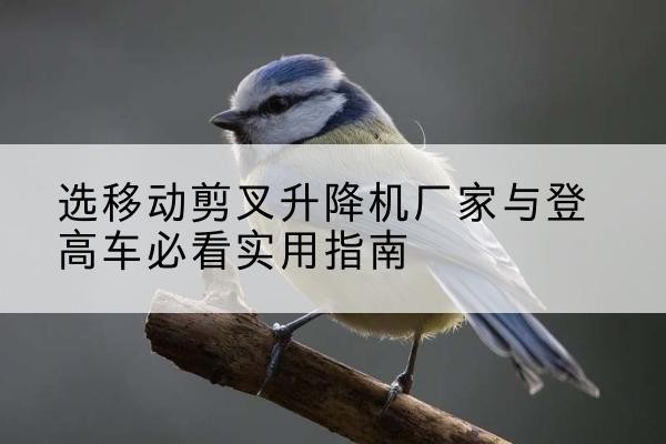 红花岗电动升降机厂家-选移动剪叉升降机厂家与登高车必看实用指南