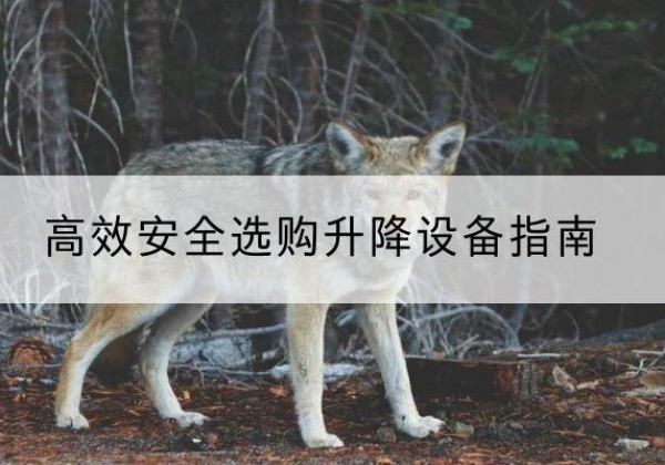 红花岗升降货梯厂家推荐-*安全选购升降设备指南